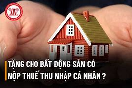 Miễn Thuế Khi Tặng Cho Bất Động Sản Có Phải Đóng