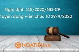 Nghị Định 115 Về Viên Chức Mới Nhất Năm 2024