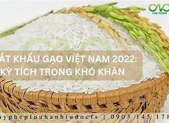 Xuất Khẩu Gạo Cuối Năm 2022 Là Gì ؟ Gì